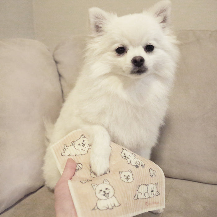 This White Floof Swedish Sponge Cloth is inspired by Eco Beige's pet dog: Moongchi, the Pomeranian. Sponge cloth is one of the most incredible and eco-friendly house cleaning tool, OR, pet cleaning cloth! It replaces up to 17 paper towel rolls, preventing lots of single-use waste in the household. The cloth is also super absorbent, great for picking up liquid spill. It is machine washable and dries super quickly leaving no odor behind! Remember, it is also fully compost when it's time to replace one!