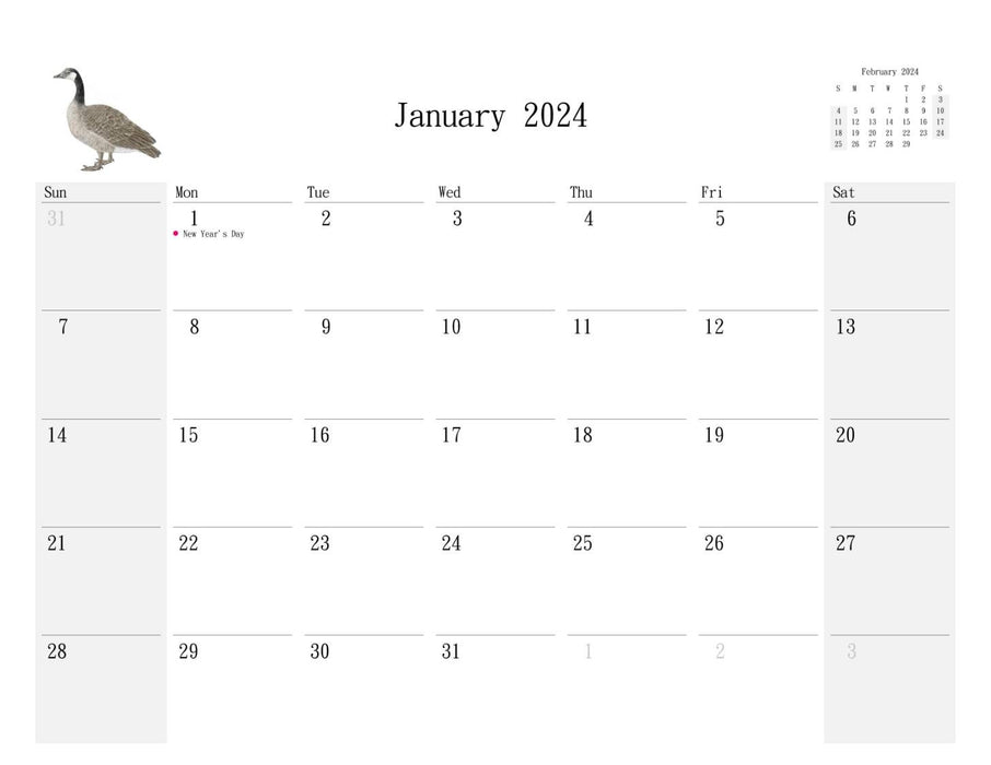 2024 Wild Bird Calendar