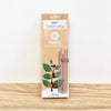 EQUO extra long coffee drinking straws in brown box. Straws are made with coffee grounds, 100% natural and compostable.