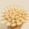 Natural color coconut dish scrub close-up detail texture view in a beige background.