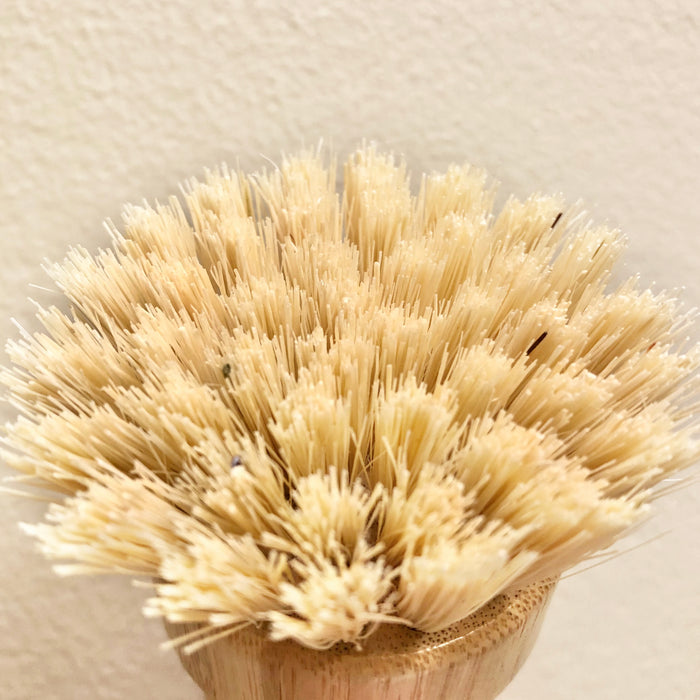 https://ecobeige.com/cdn/shop/products/Eco-Beige-ecofriendly-natural-coconut-dish-scrub-creamy-beige-kitchen-dish-cleaning-tool-sustainable-compostable-plastic-free-alternative-vancouver-Eco-Beige-2_700x700.jpg?v=1627778132