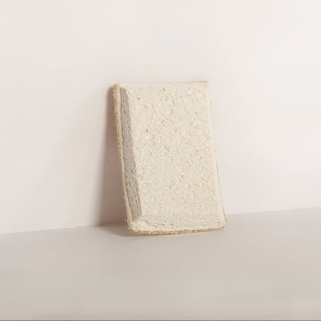 Eco Beige natural and fully compostable dish sponge made with wood cellulose fiber and loofah plant fiber. Standing view with white background.
