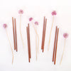 Rose gold stainless steel straws flat lay with chive blossoms.